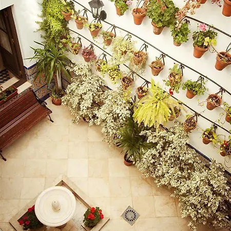 Hotell Casa De Mercedes 2*